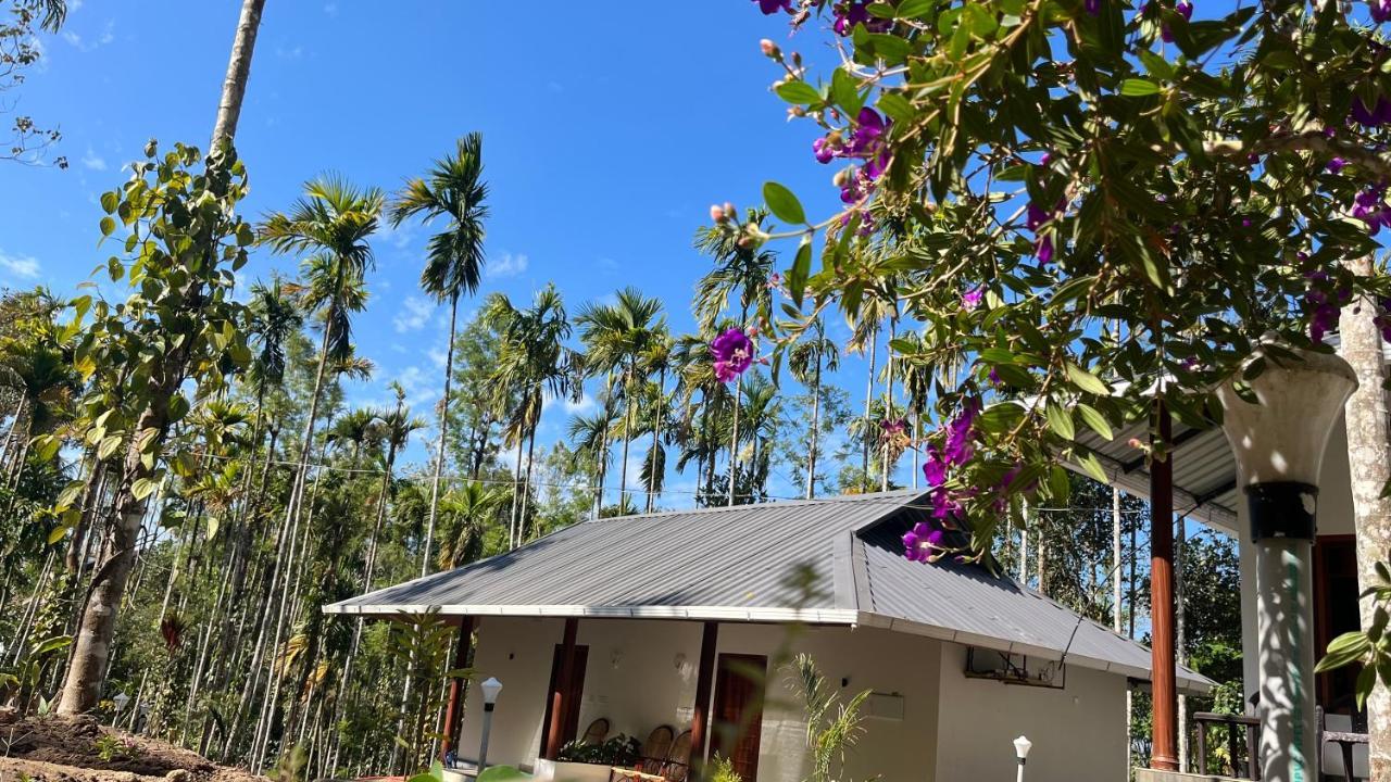 Cave Valley Wayanad Hotel Ambalavayal Exterior photo