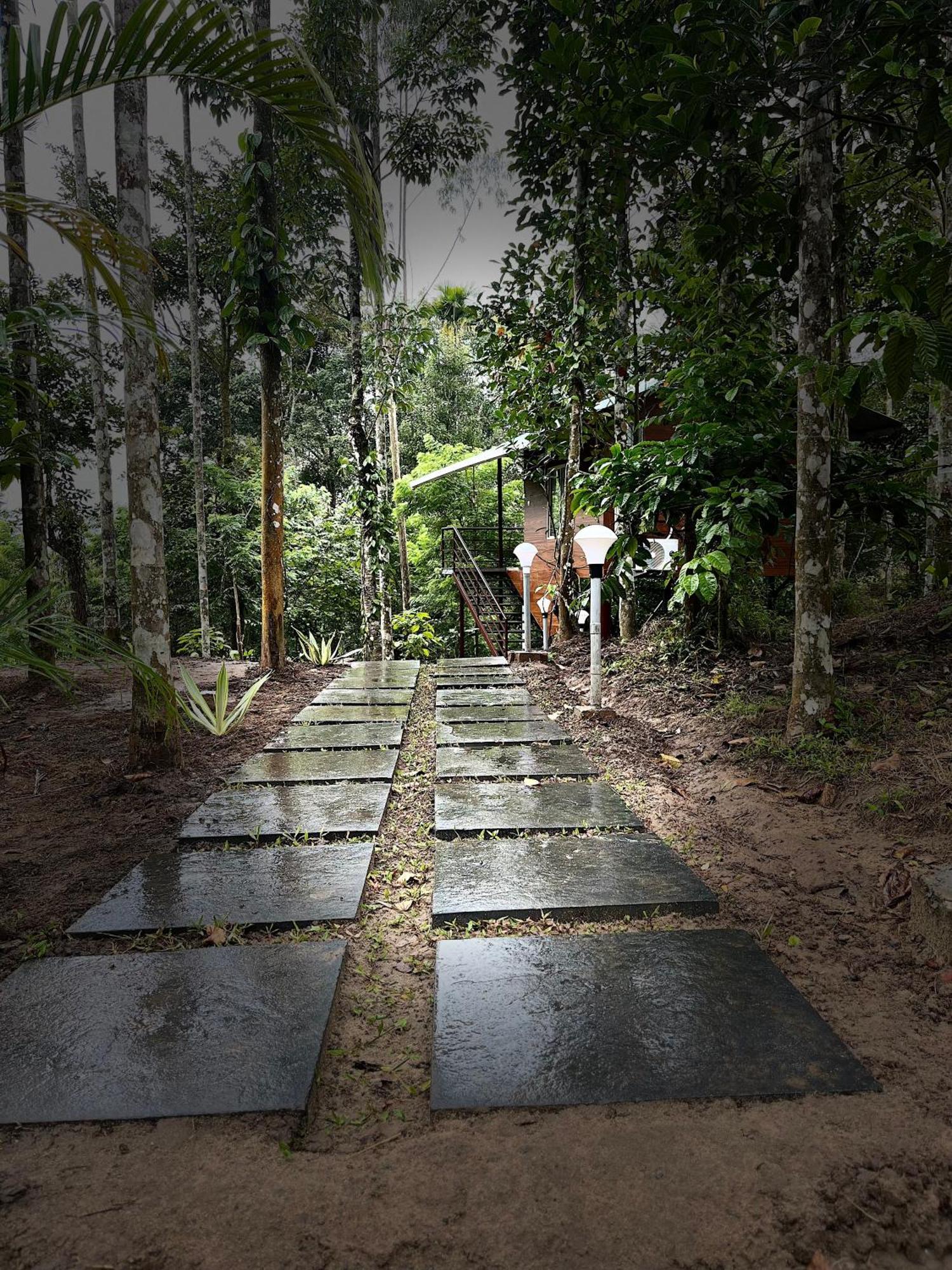 Cave Valley Wayanad Hotel Ambalavayal Exterior photo