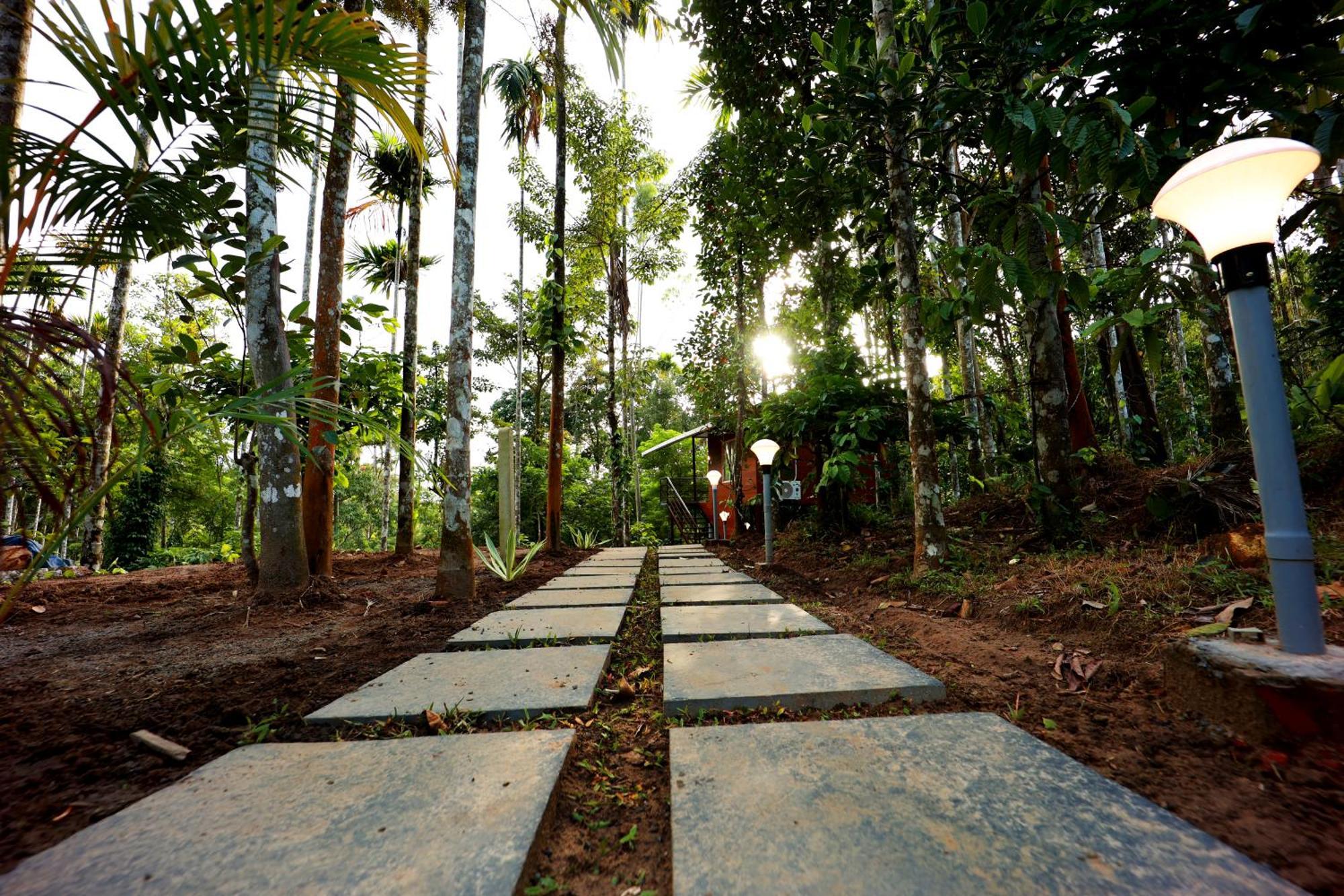 Cave Valley Wayanad Hotel Ambalavayal Exterior photo