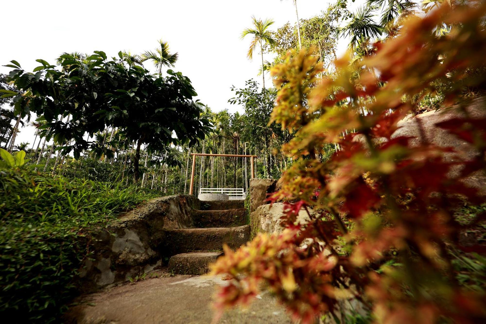 Cave Valley Wayanad Hotel Ambalavayal Exterior photo