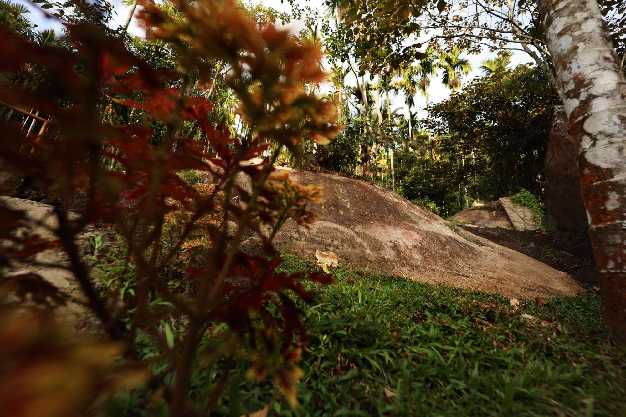 Cave Valley Wayanad Hotel Ambalavayal Exterior photo